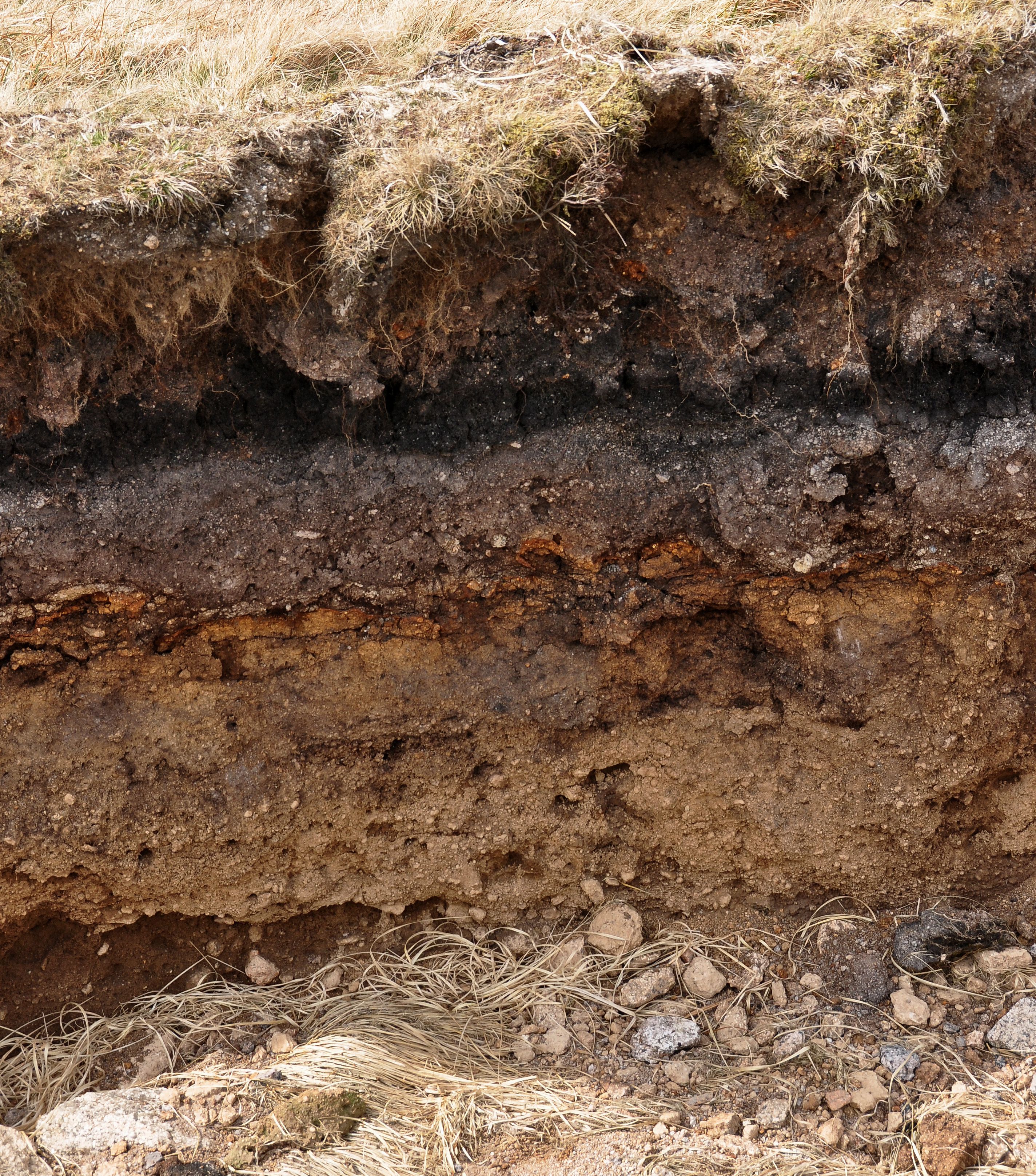 Layers in soil on Dartmoor compressor
